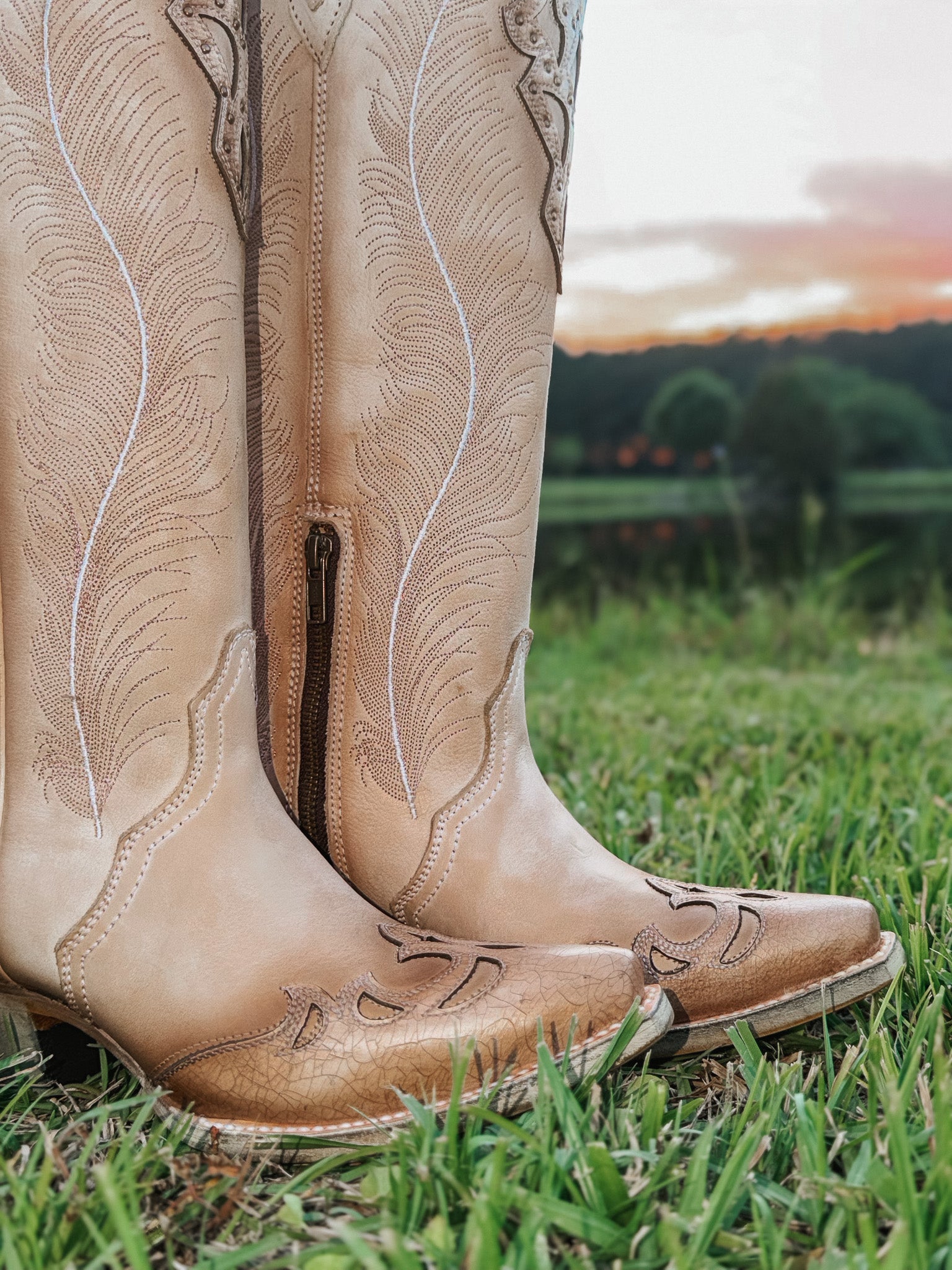 Women's Corral Feathered Embroidery Crackled Western Boot