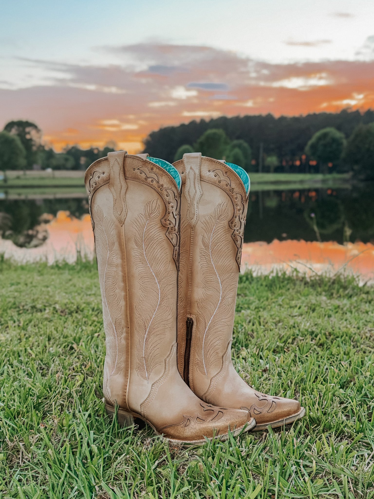 Women's Corral Feathered Embroidery Crackled Western Boot