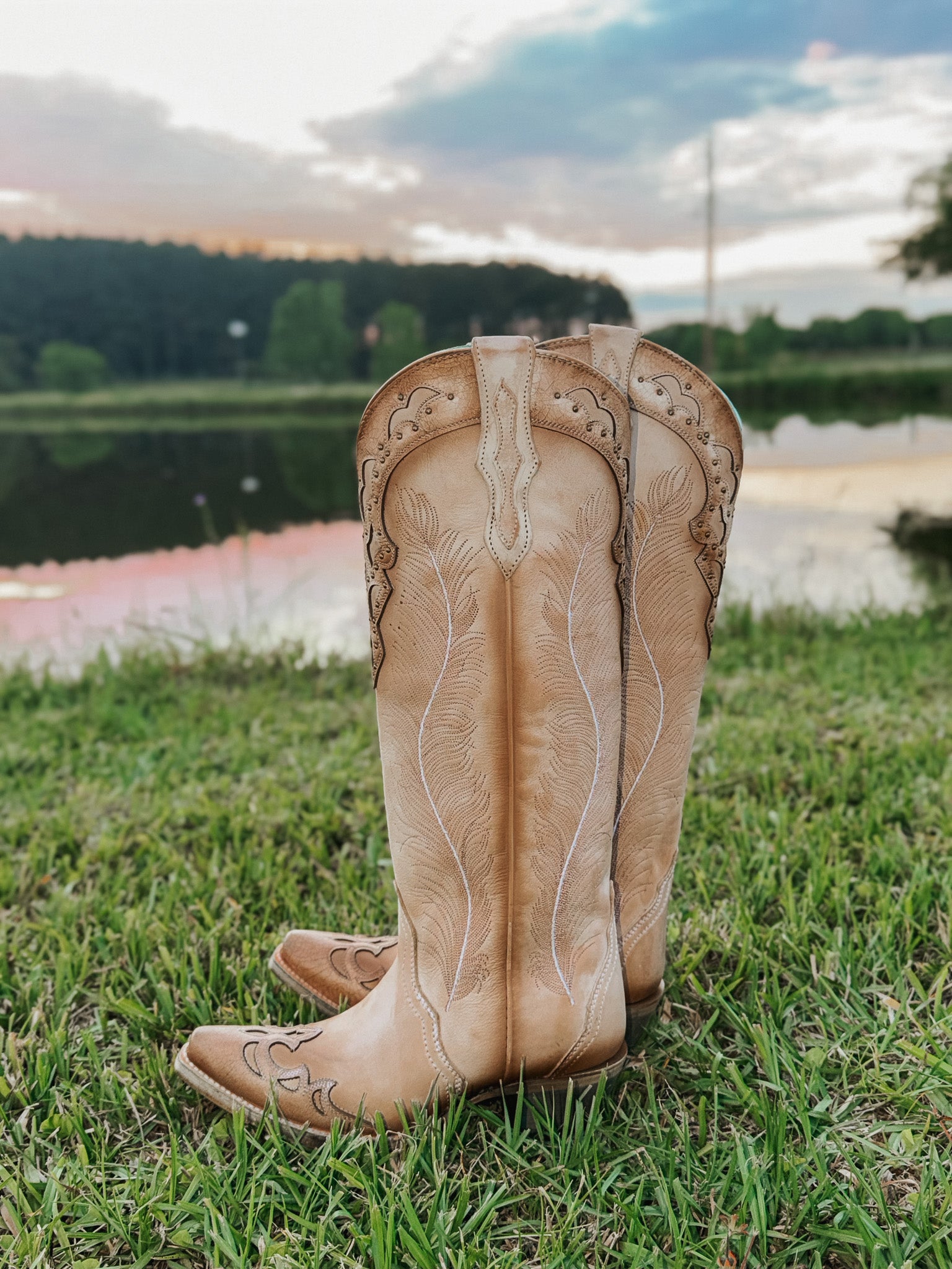 Women's Corral Feathered Embroidery Crackled Western Boot