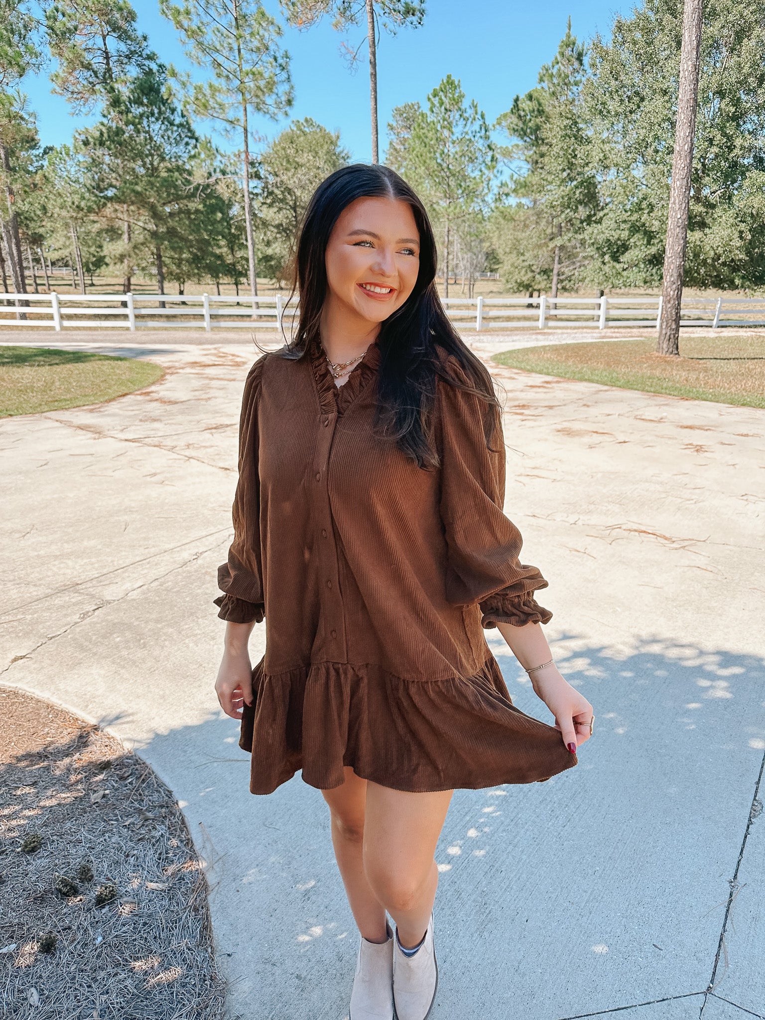 Sunday Stroll Brown Dress