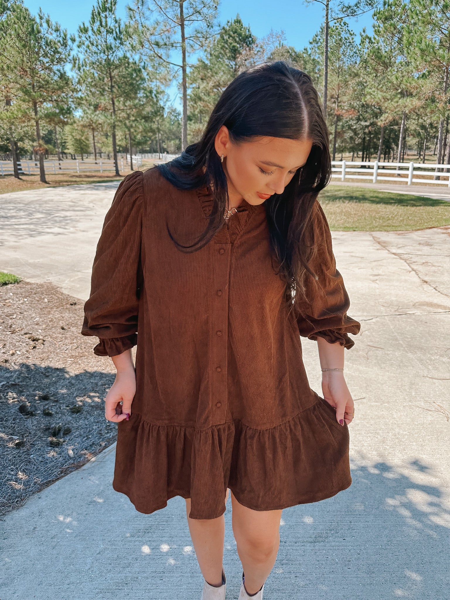 Sunday Stroll Brown Dress