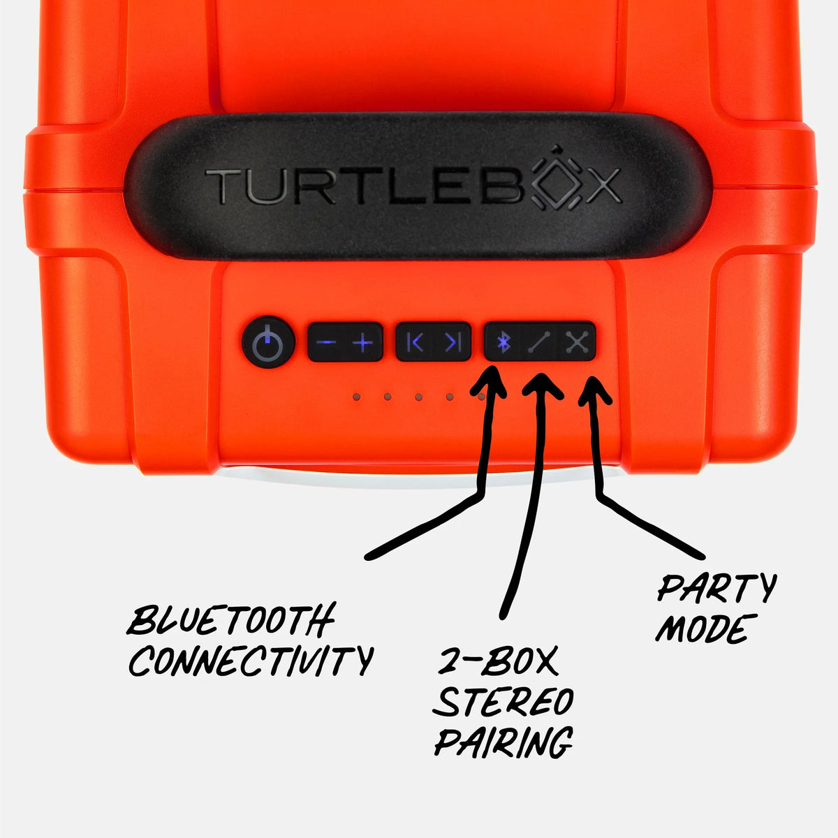 TurtleBox Original: Cub in Orange