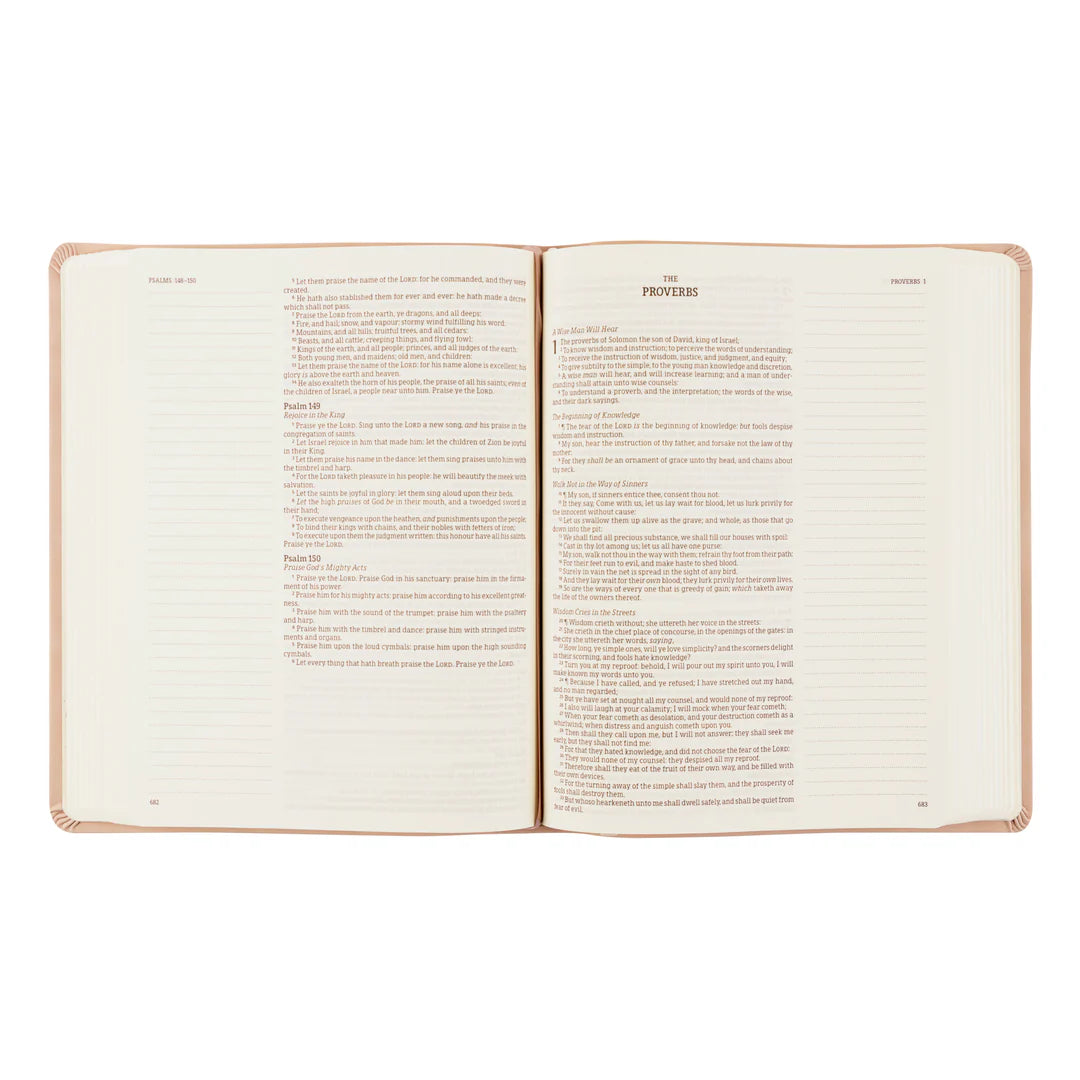 KJV Large Print Notetaking Bible: Shiloh Theme