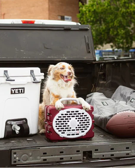 Turtlebox Original: Gen 3 in Maroon