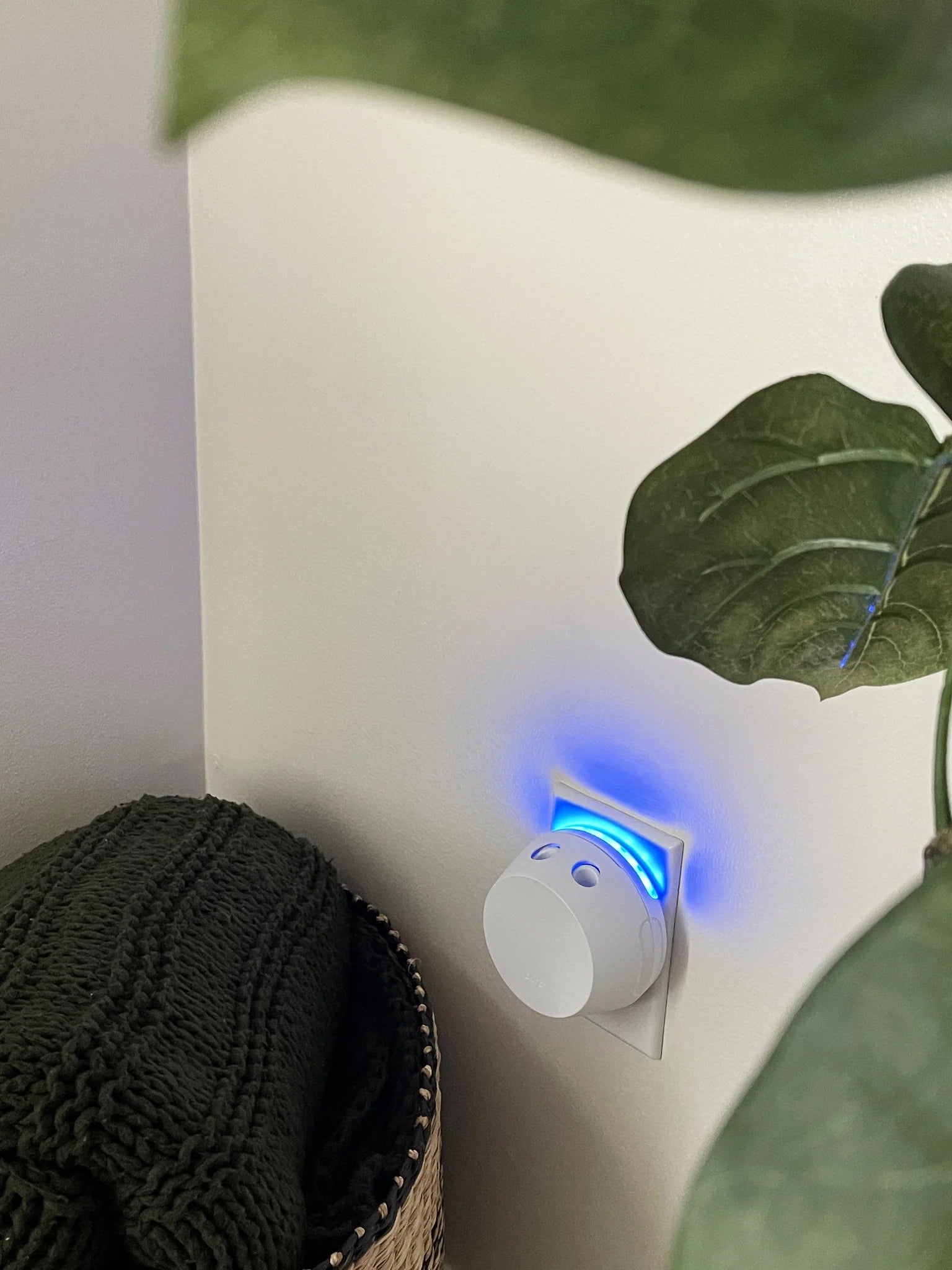 Pura + Bridgewater Smart Home Diffuser Set with Sweet Grace and Afternoon Retreat