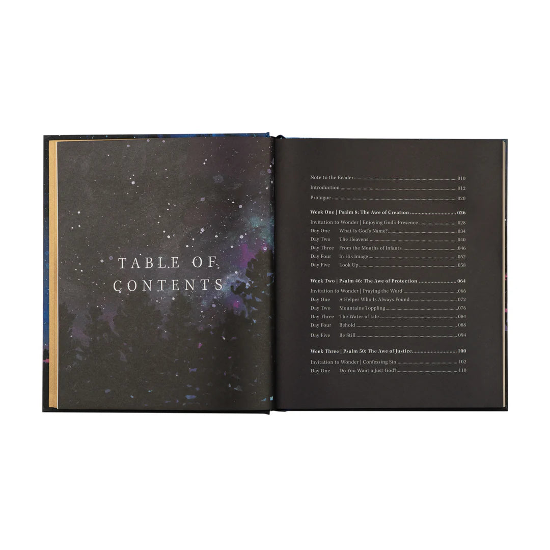 Hosanna Revival WONDER by Alicia Hamilton