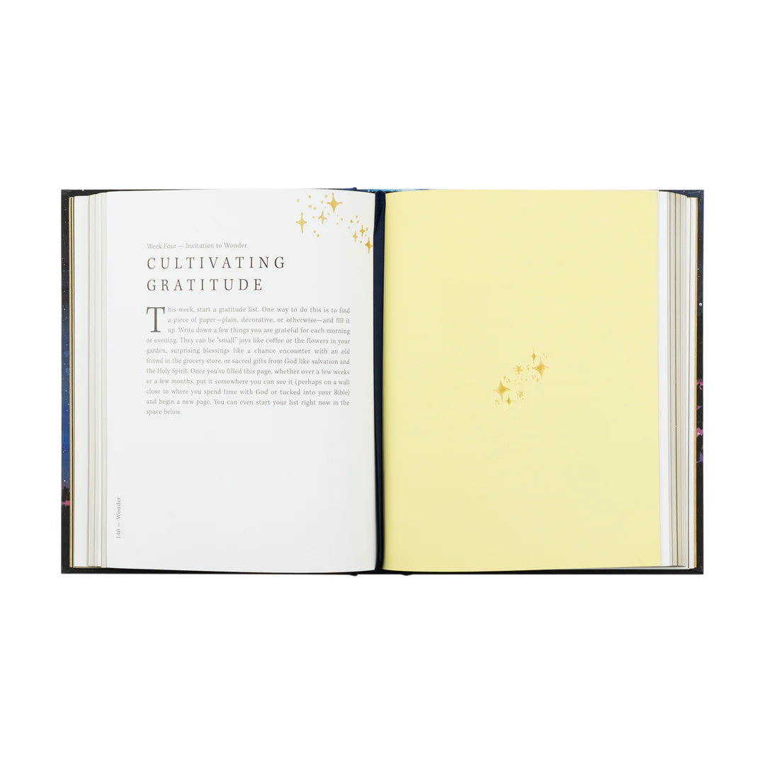 Hosanna Revival WONDER by Alicia Hamilton