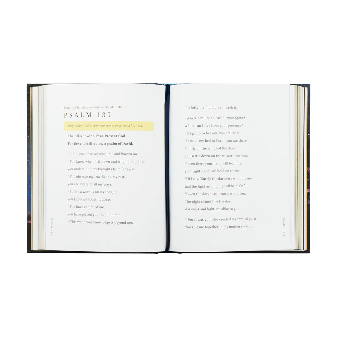 Hosanna Revival WONDER by Alicia Hamilton