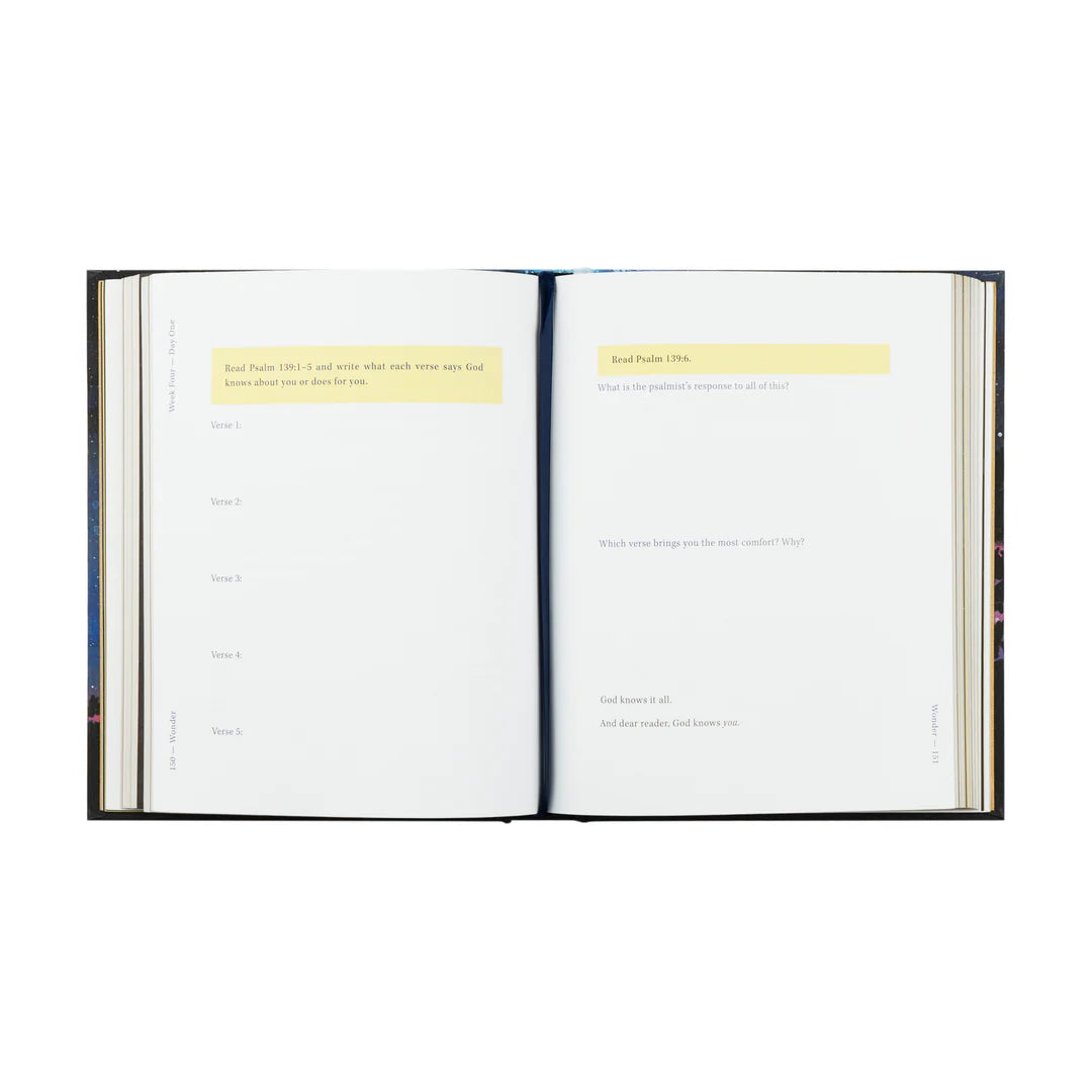 Hosanna Revival WONDER by Alicia Hamilton