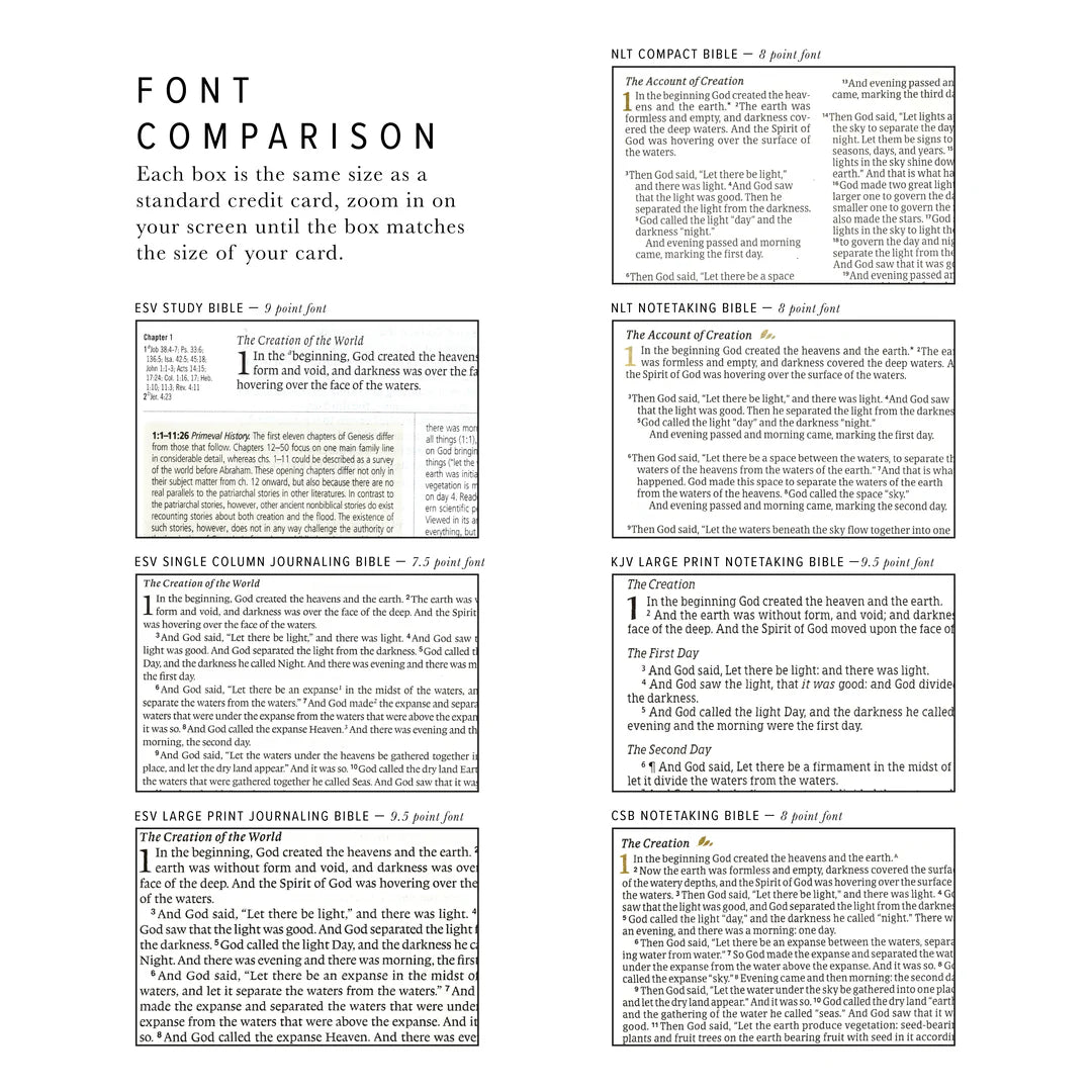 KJV Large Print Notetaking Bible: Charlotte Theme