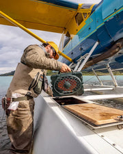 Turtlebox Original: Gen 3 in Green