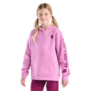 Carhartt Kid's Graphic Sweatshirt in Dusty Pink