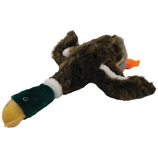 Local Boy | Duck Dog Toy