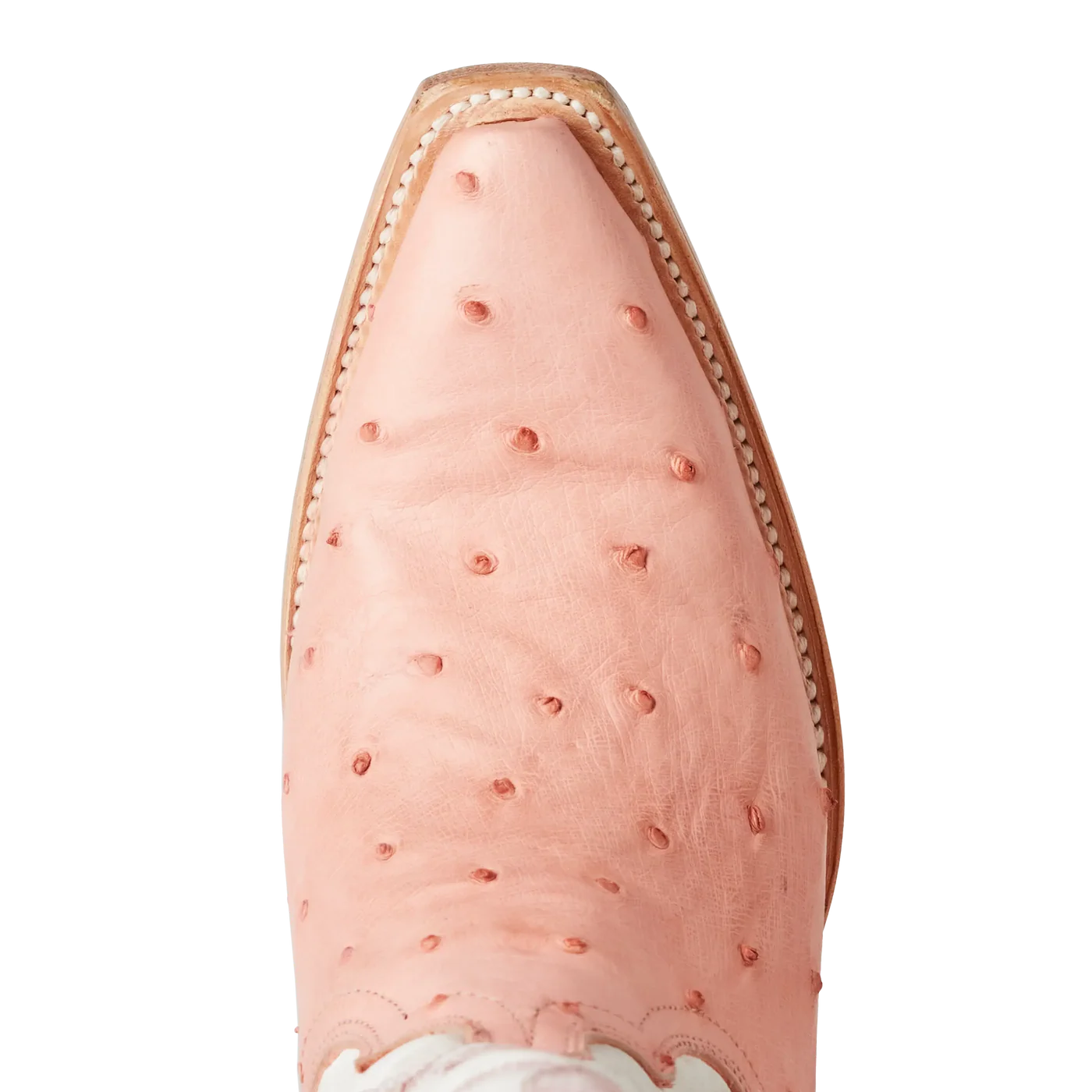 Women's Lane Skylight Boot in Blush Ostrich