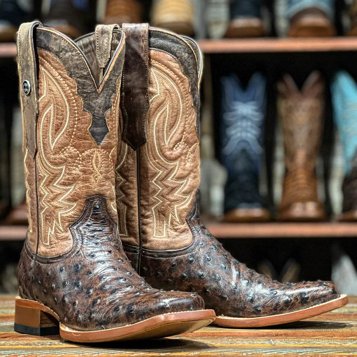 Botas con estampado de avestruz Tanner Mark Big Cabin para hombre