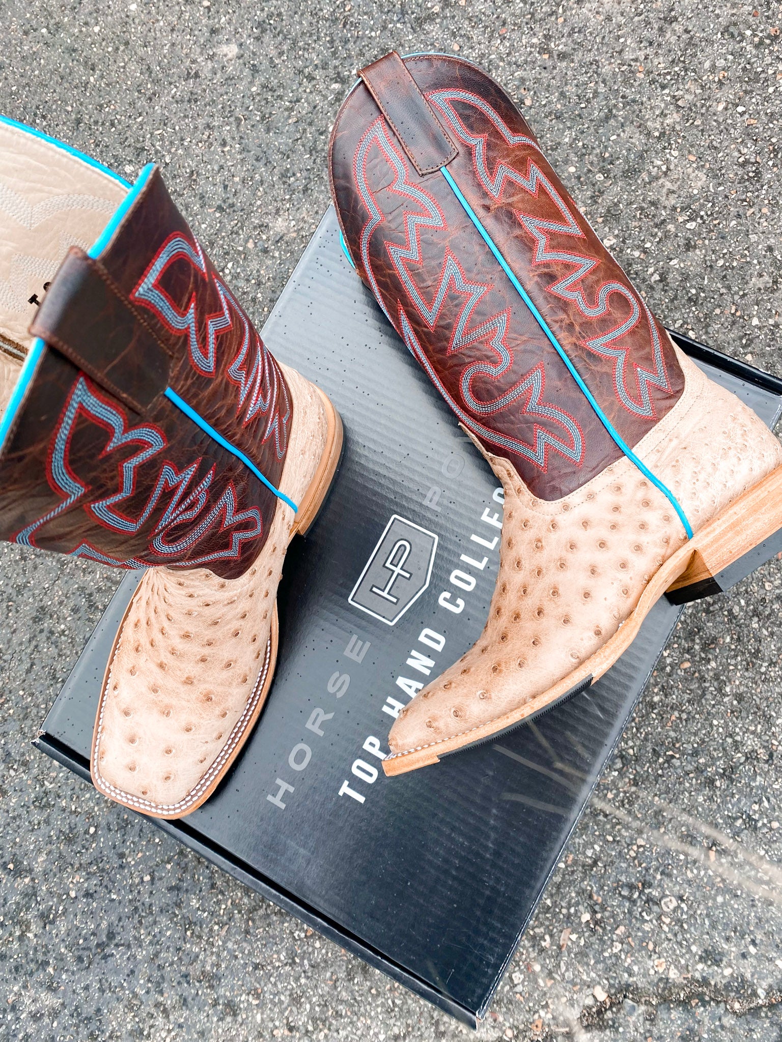 MEN'S HORSE POWER BRUCIATO OSTRICH BOOT