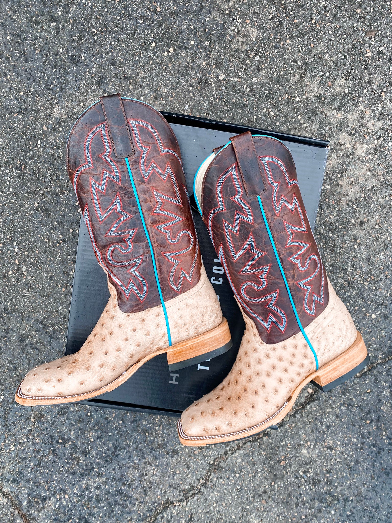 MEN'S HORSE POWER BRUCIATO OSTRICH BOOT