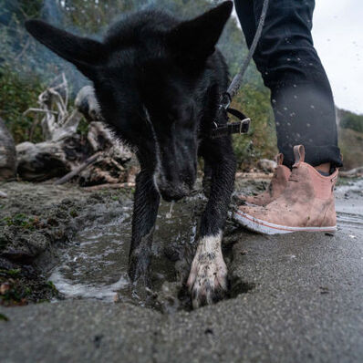 XTRATUF Women's Leather Deck Ankle Boots in Pink